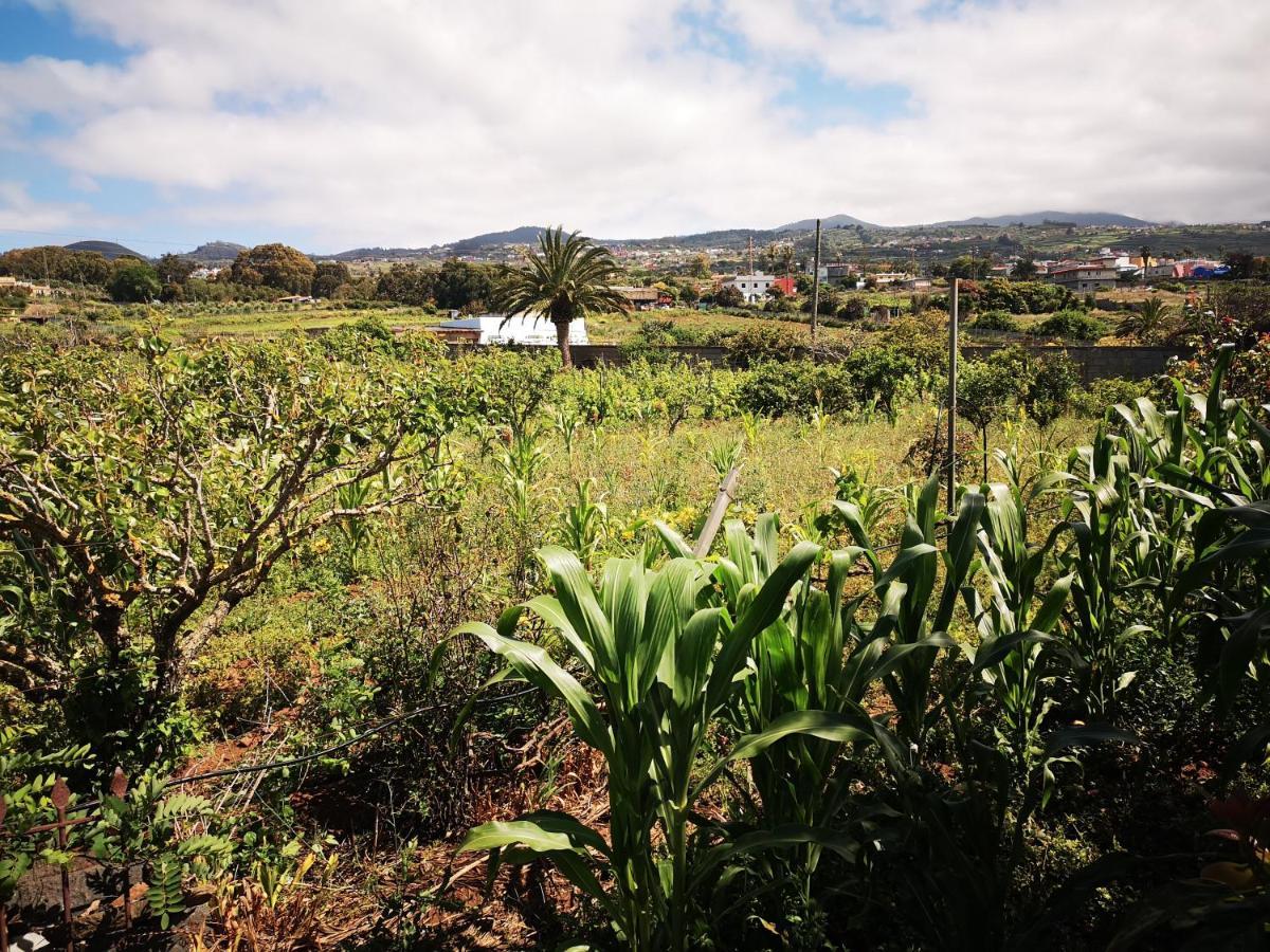 Villa Casa Rural, Espectaculares Vistas Teide Wifi- Bbq Tacoronte Exterior foto